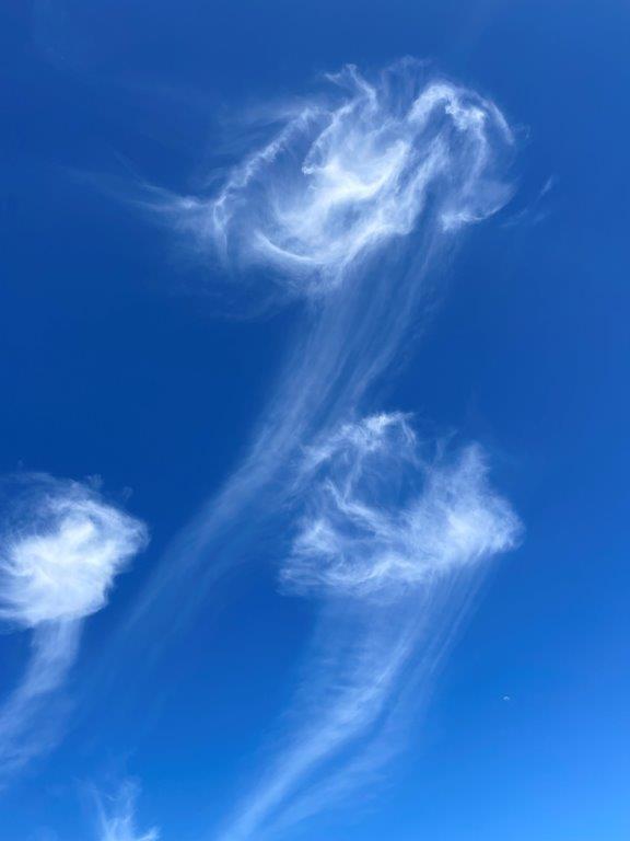 Jellyfish clouds against a bright blue sky