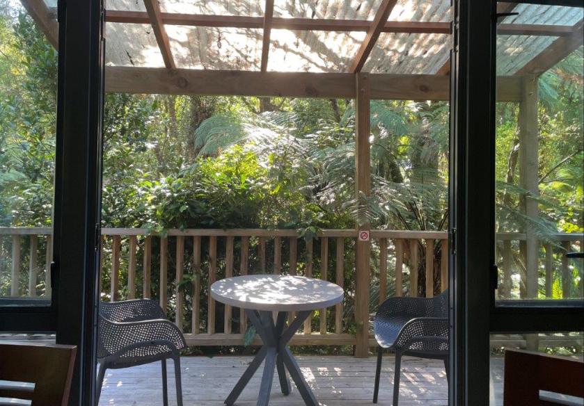 view out of patio doors onto balcony surrounded by rain forest ferns and trees